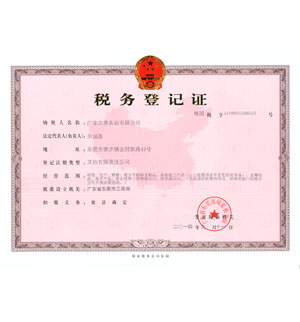 �㶫����ʵҵ���޹�˾��˰